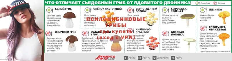 мориарти официальный сайт  Майкоп  Галлюциногенные грибы Psilocybe  где найти  